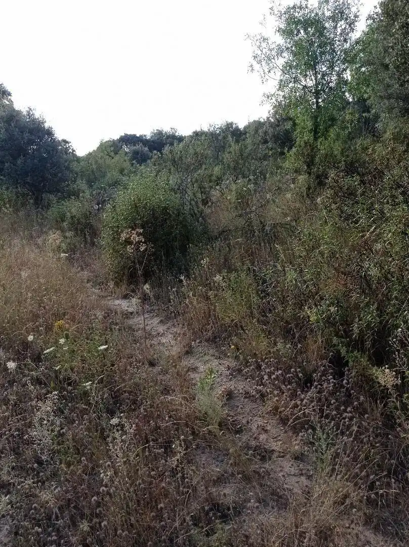 Finca rústica en venda en Puentes Viejas