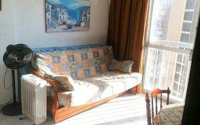 Sala d'estar de Pis de lloguer en Benidorm amb Aire condicionat, Moblat i Rentadora