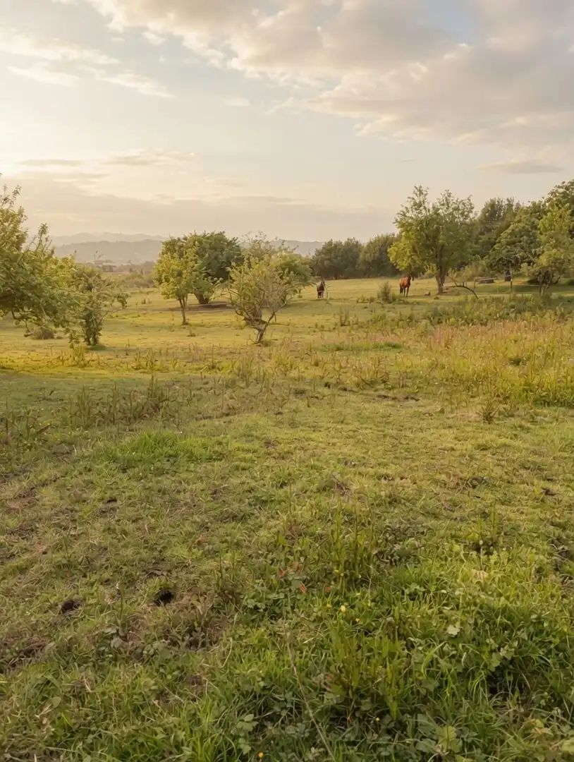 Residential land for sale in La Pola de Siero 58, imagen 14