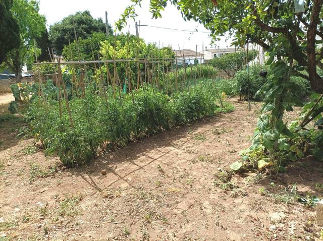 Terreno residencial en Venta en Son Roca