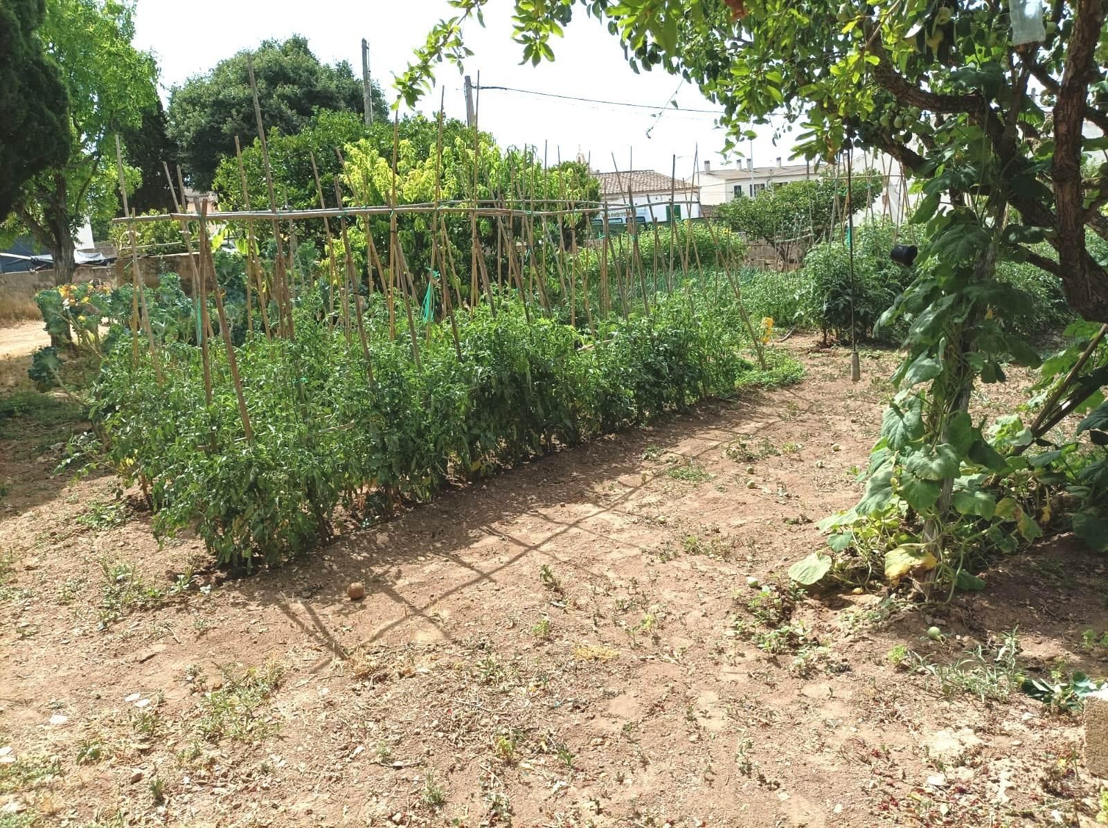 Residencial en venda en  Palma de Mallorca