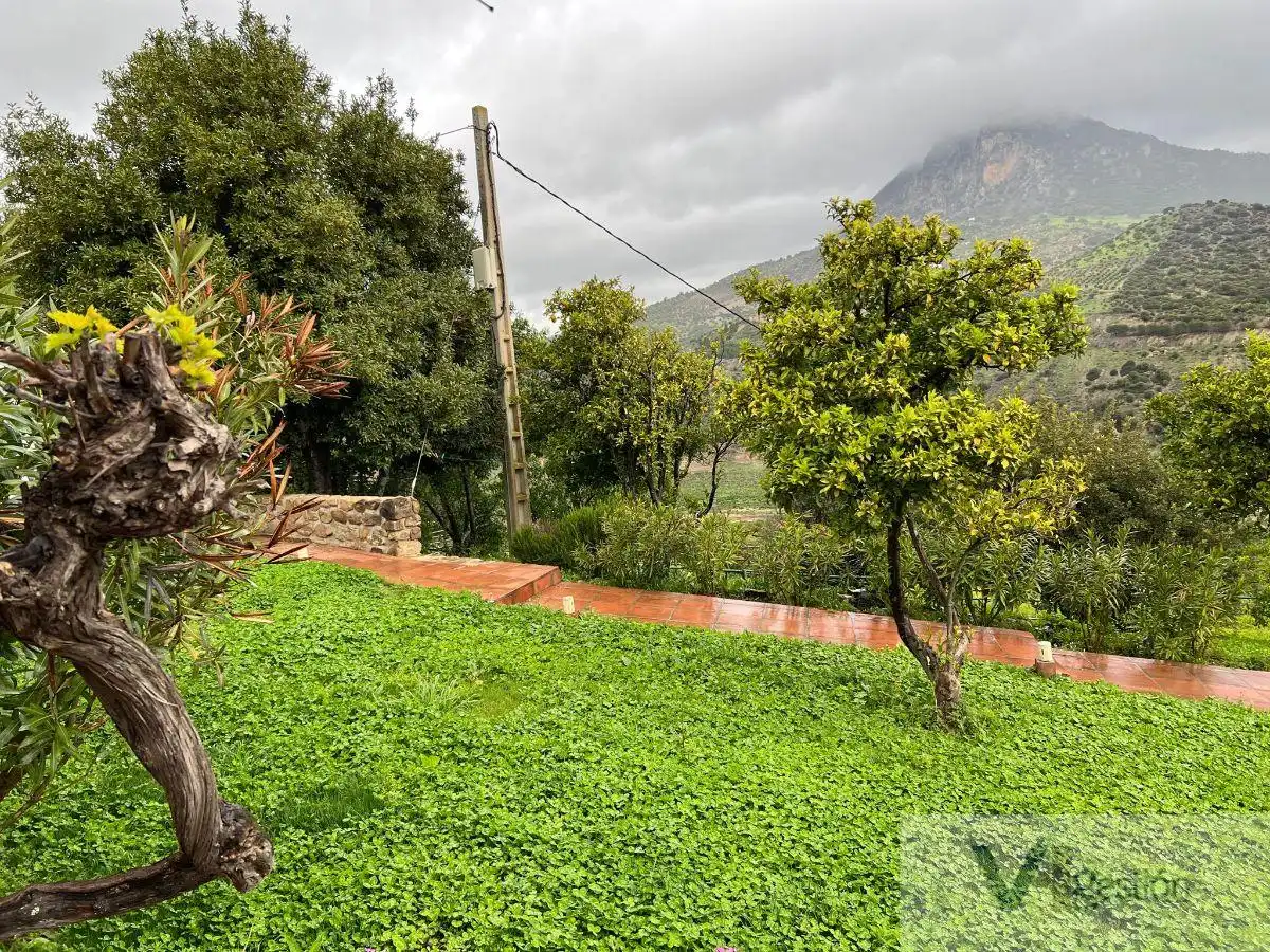 Country homes for sale in El Gastor
