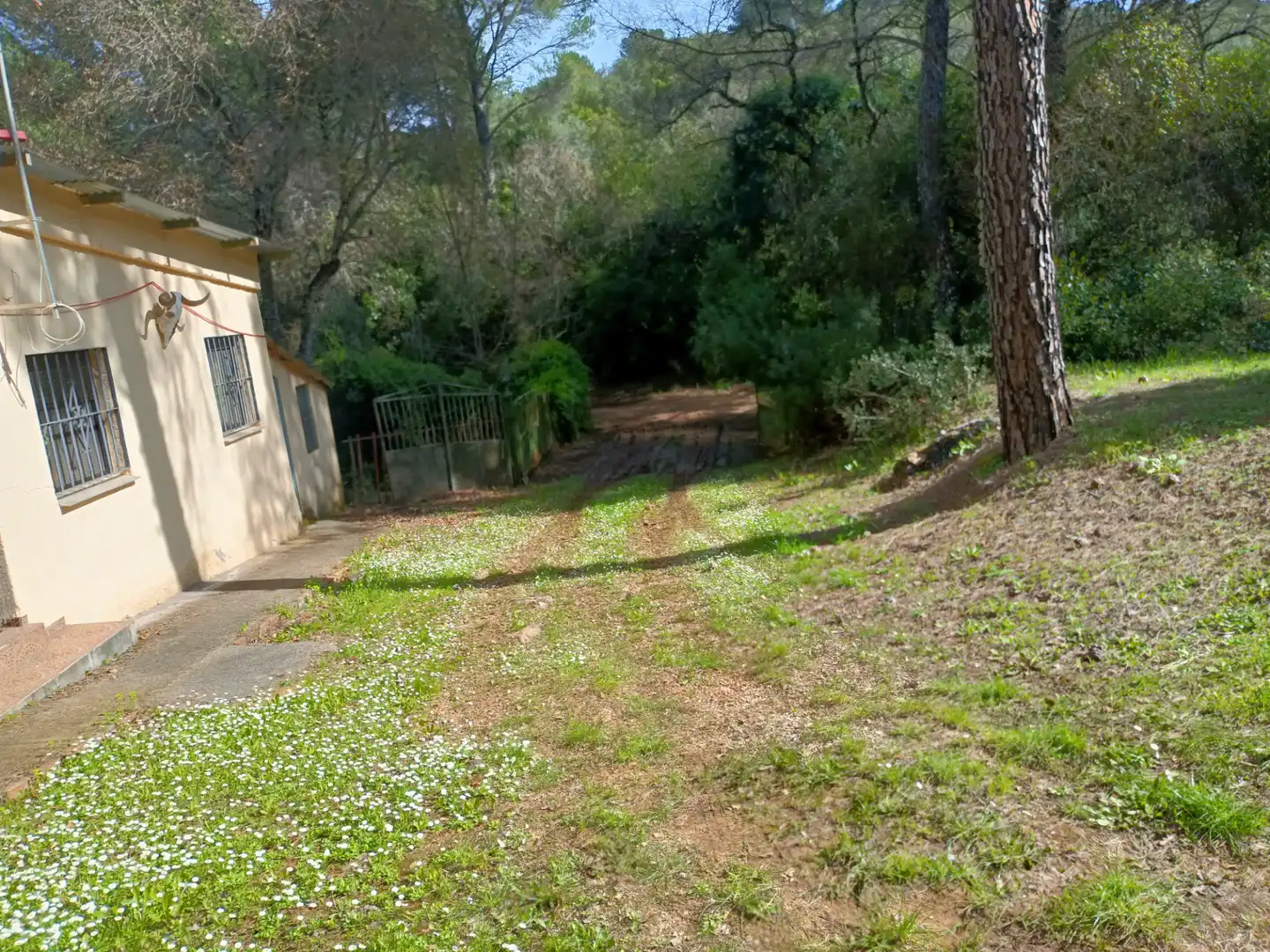 Casa rustica in vendita a Periurbano Oeste - Sierra, imagen 29