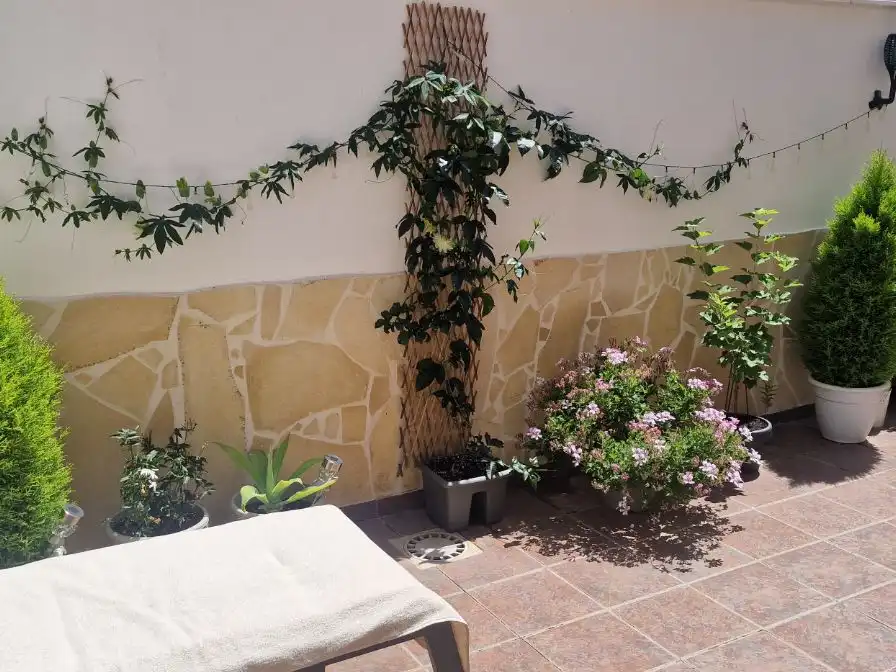Reihenhaus zum Verkauf in Alcalde José Idrag 46, imagen 23