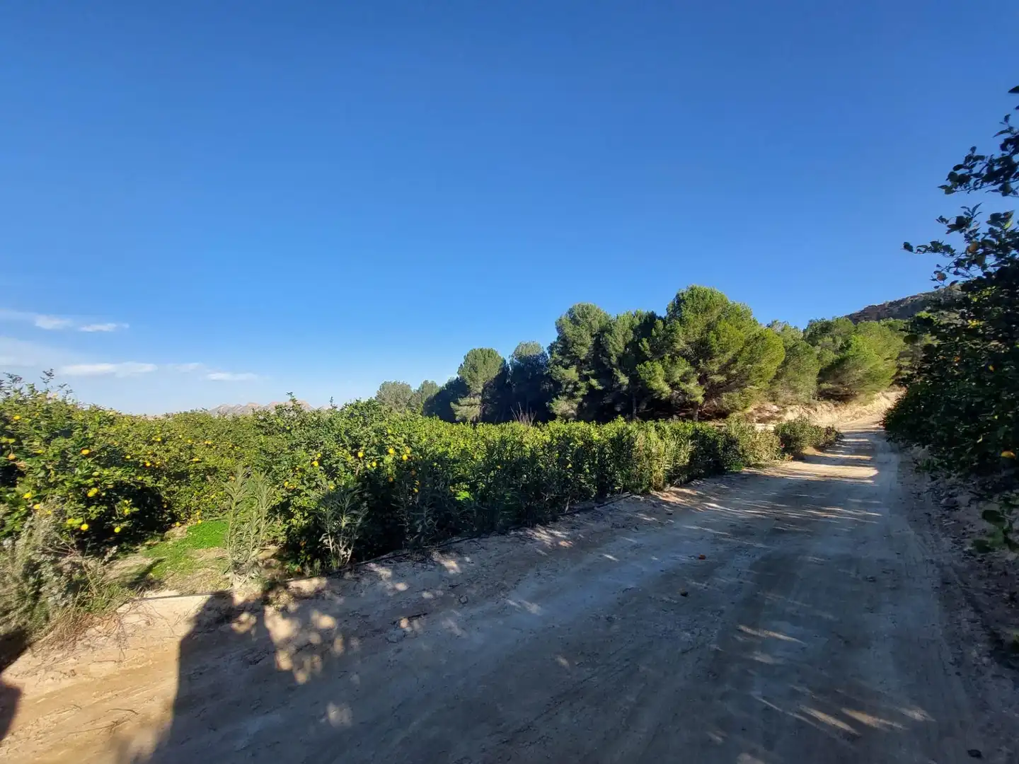 Terrenys i solars en venda a Camino Camino Cañada Umbría, imagen 6