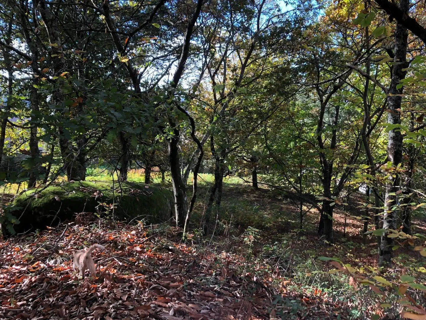 Casa o chalet en venta en Caldas de Reis