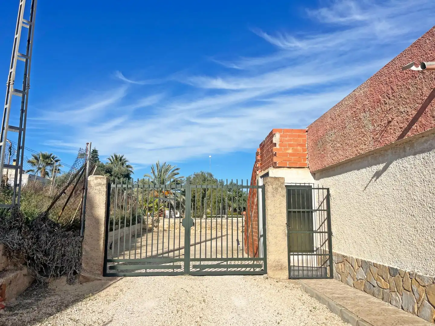 Vista exterior de Finca rústica en venta en Elche / Elx con Terraza