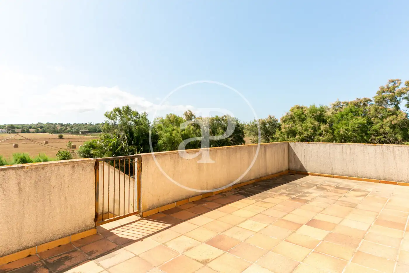 Terrassa de Casa o xalet en venda en  Palma de Mallorca amb Aire condicionat, Calefacció i Jardí privat