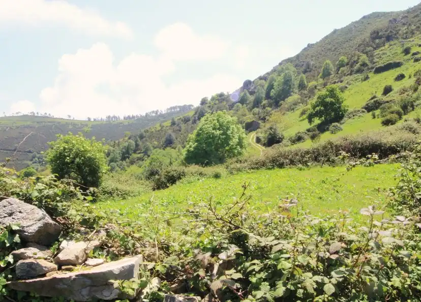 Wohnbaugrundstück zum Verkauf in Cudillero, imagen 23