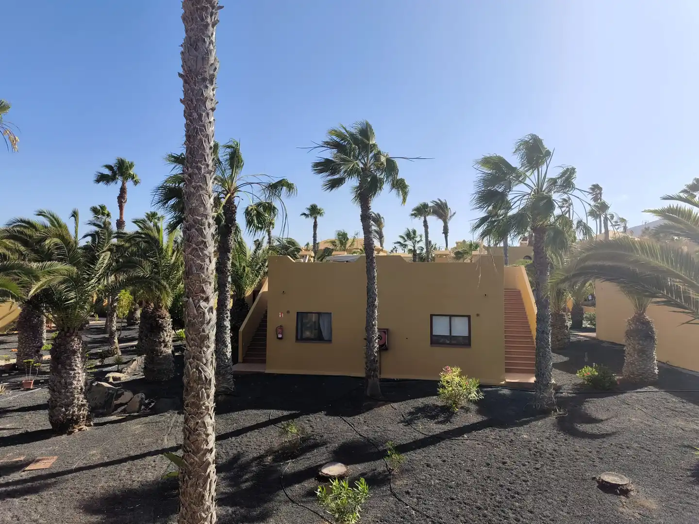Vista exterior de Apartamento en venta en La Oliva con Terraza, Amueblado y Piscina comunitaria