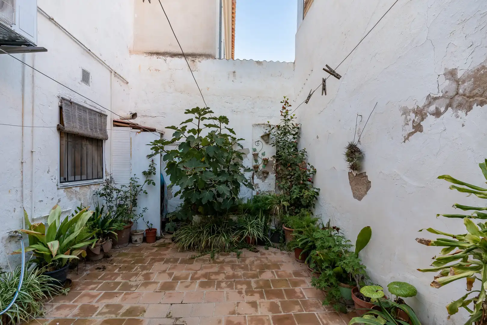 Jardí de Casa o xalet en venda en  Palma de Mallorca amb Aire condicionat, Terrassa i Balcó