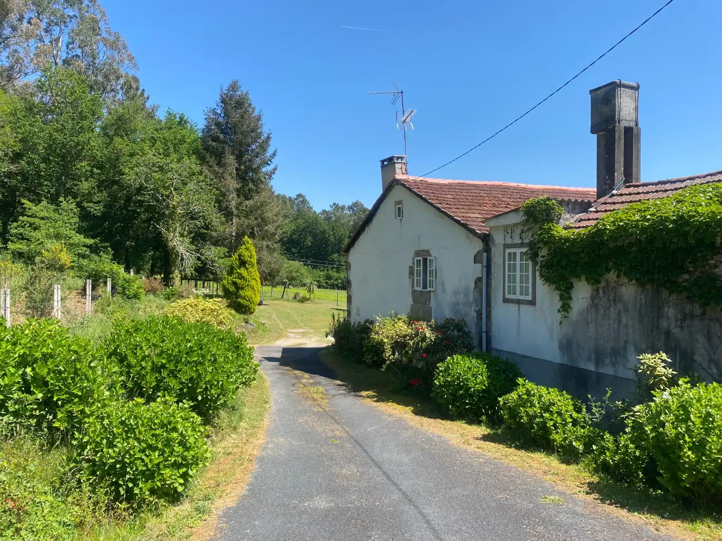 Vista exterior de Casa o chalet en venta en A Estrada  con Calefacción