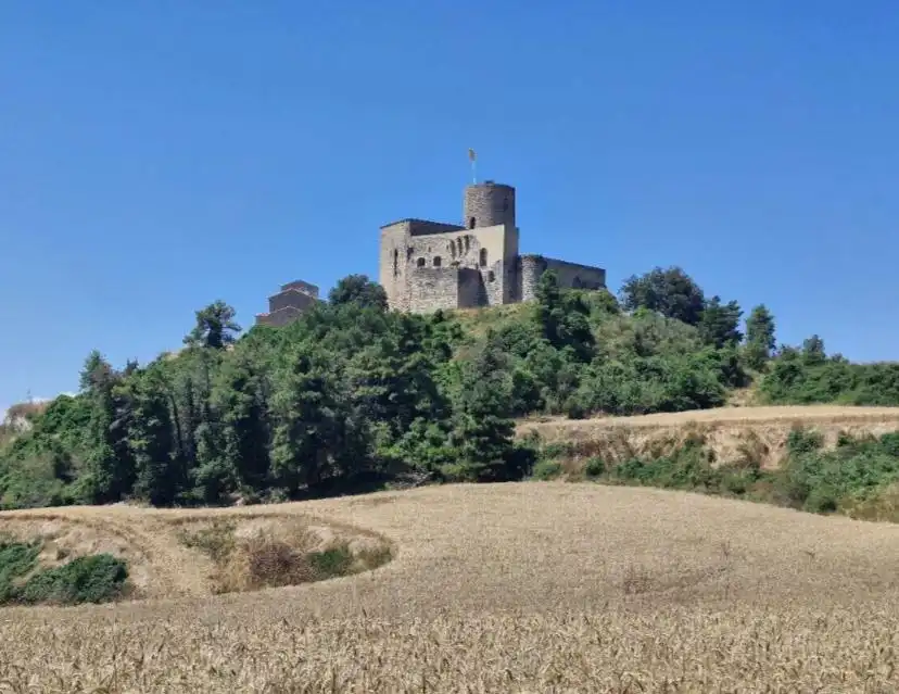 Vista exterior de Finca rústica en venda en Sant Pere Sallavinera