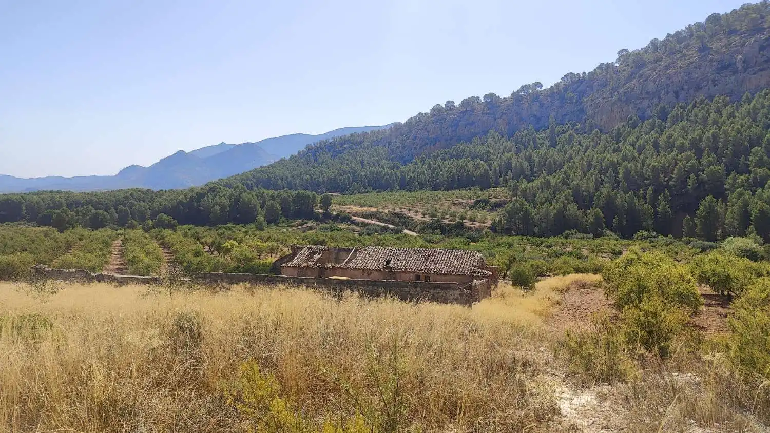 Casa rústica en venda a Mula, imagen 4