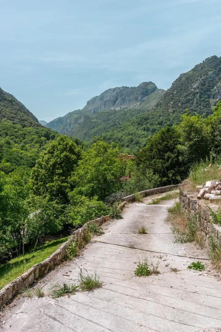 Vista exterior de Terreno en venta en Peñamellera Alta