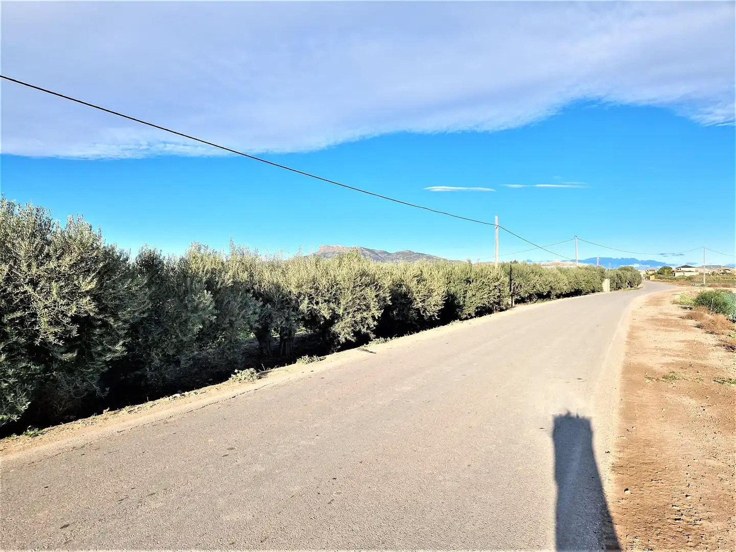 Residencial en venta en Lorca
