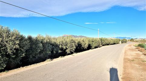 Foto 3 de Residencial en venta en Pulgara, Lorca