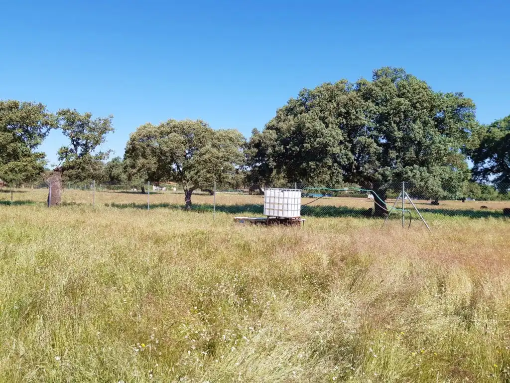 Xalet amb piscina en venda a Ruta de la Plata, imagen 23