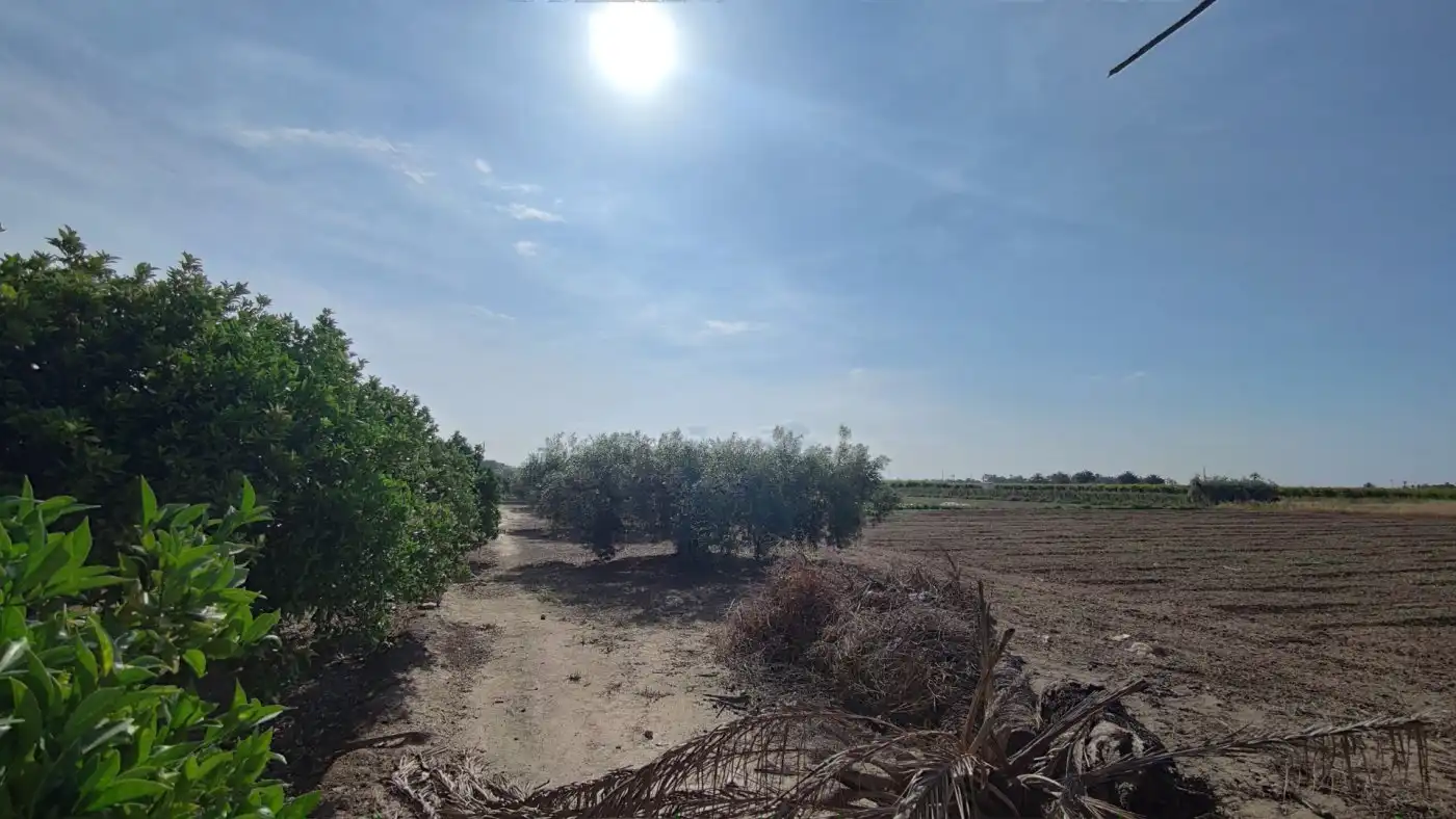 Villa con giardino in vendita a La Foia - Daimés - Asprella, imagen 12