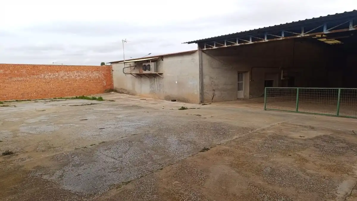 Parking of Industrial buildings for sale in San Carlos del Valle