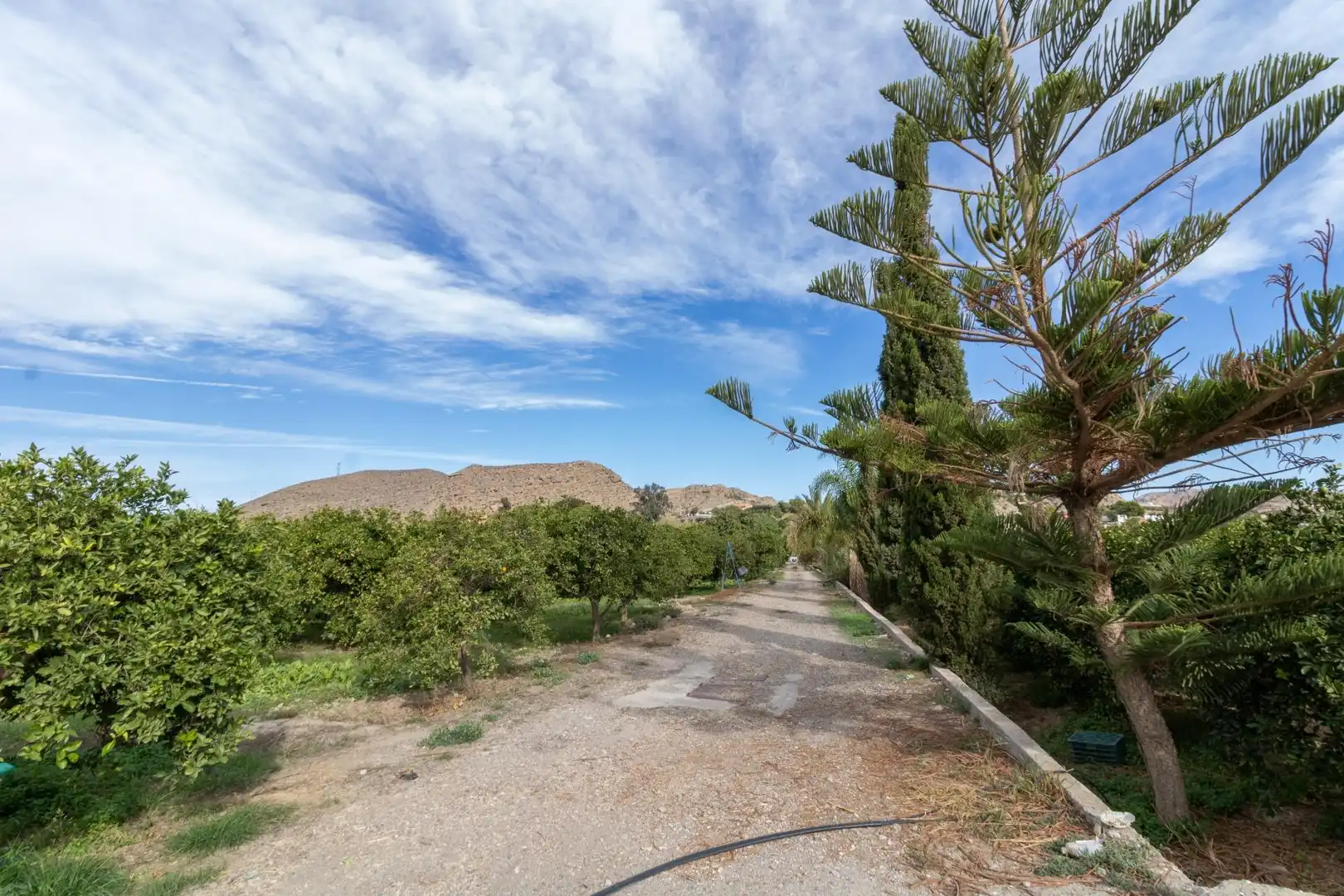 Exterior view of Land for sale in Santa Fe de Mondújar