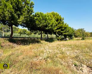 Land for sale in Sant Boi de Llobregat