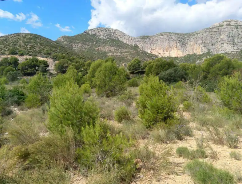 Terreny residencial en venda a Proc. Simplificado, imagen 16