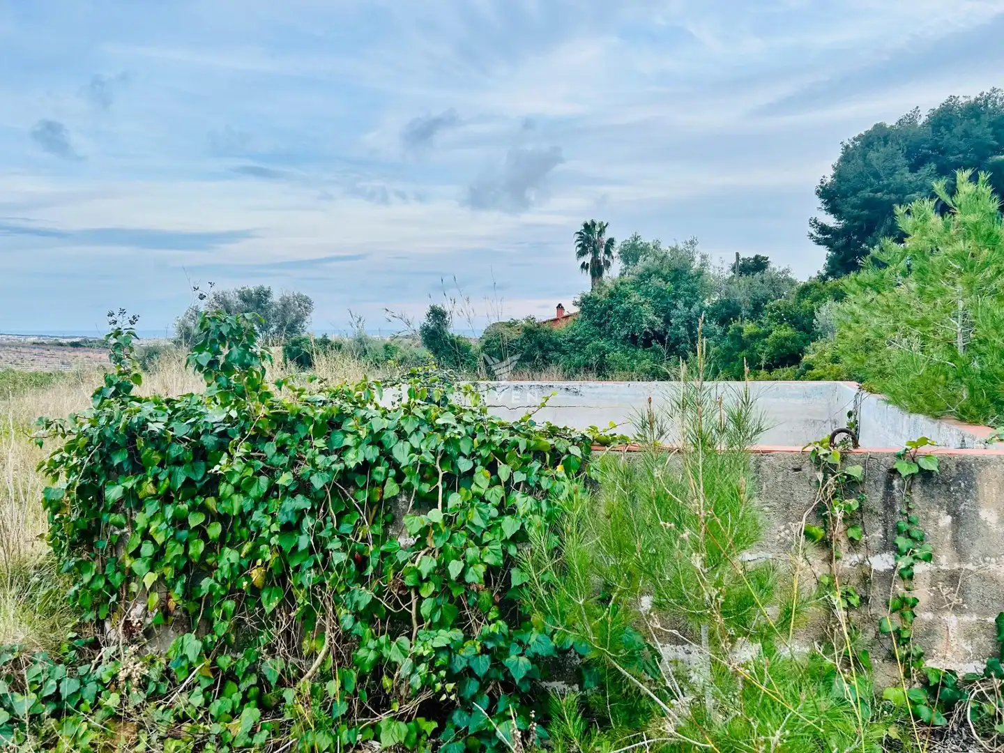 Rural land for sale in Nord, imagen 3