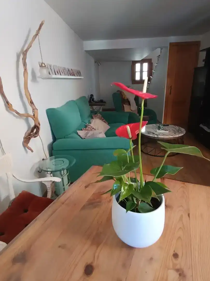 Sala d'estar de Casa adosada en venda en Plasencia amb Aire condicionat i Balcó