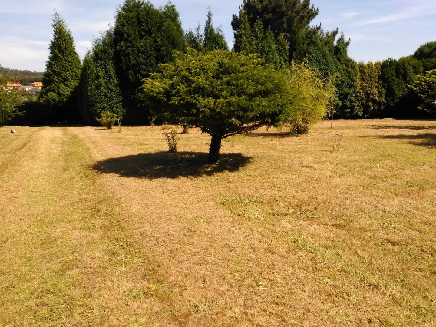 Terreni e lotti in vendita a Dorneda, imagen 6