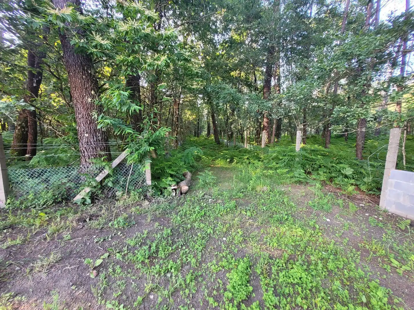 Xalet amb jardí en venda a Lugar Sabaxans, imagen 32