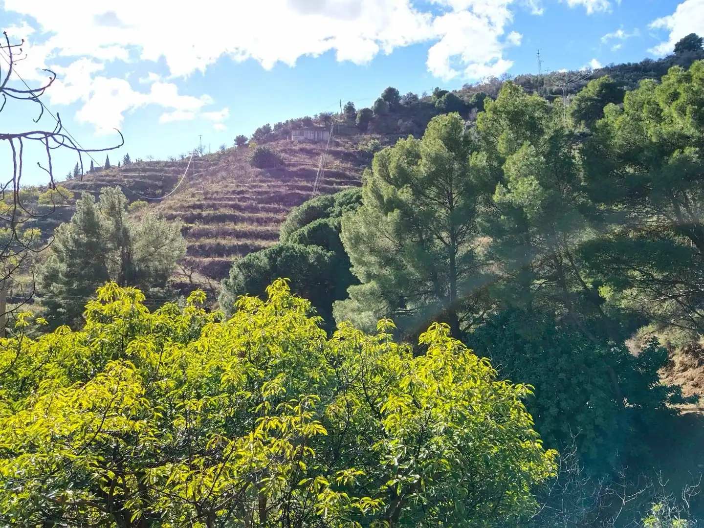 Casa rústica amb piscina en venda a DE LAS VIÑAS, imagen 43