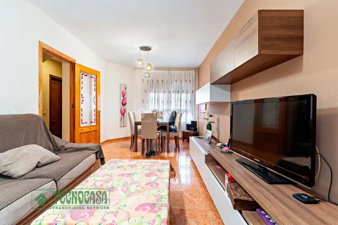 Living room of Detached homes for sale in Roquetas de Mar  with Terrace