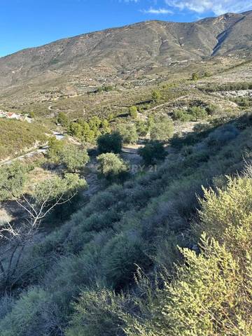 Terreno en Venta en Polígono 13 parcela, 750 en Vélez de Benaudalla