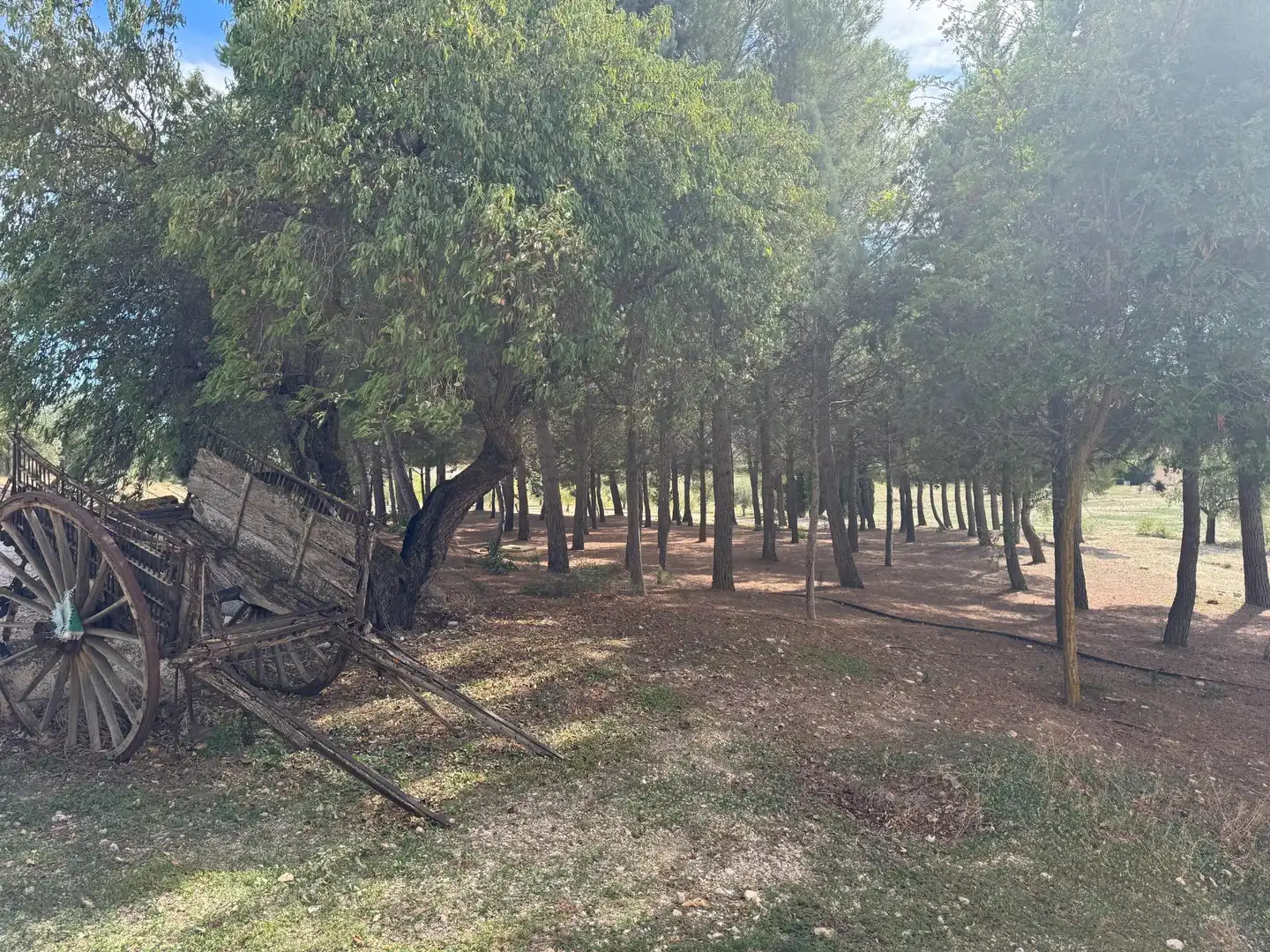 Finca rústica en venta en Huéscar
