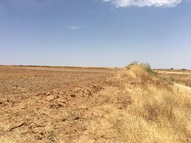 Terreno en venta en Palomeque