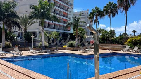 Foto 2 de Estudio en venta en Playa de las Américas, Arona
