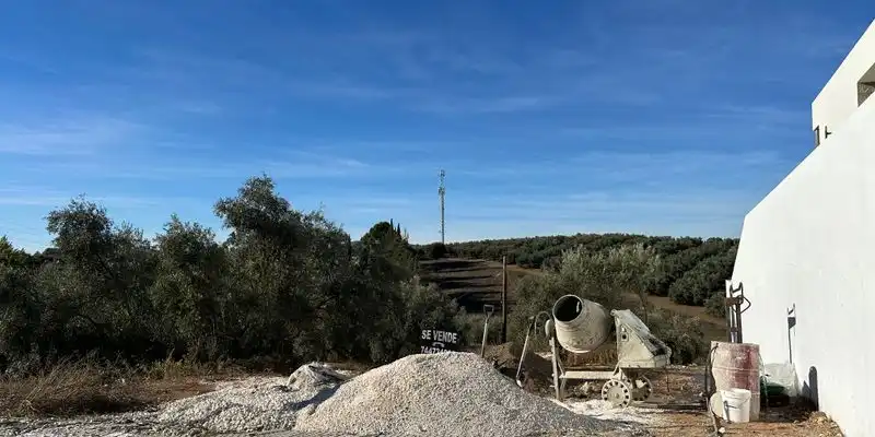 Terreny rústic en venda a Urbanización La ermita sur s3, imagen 2