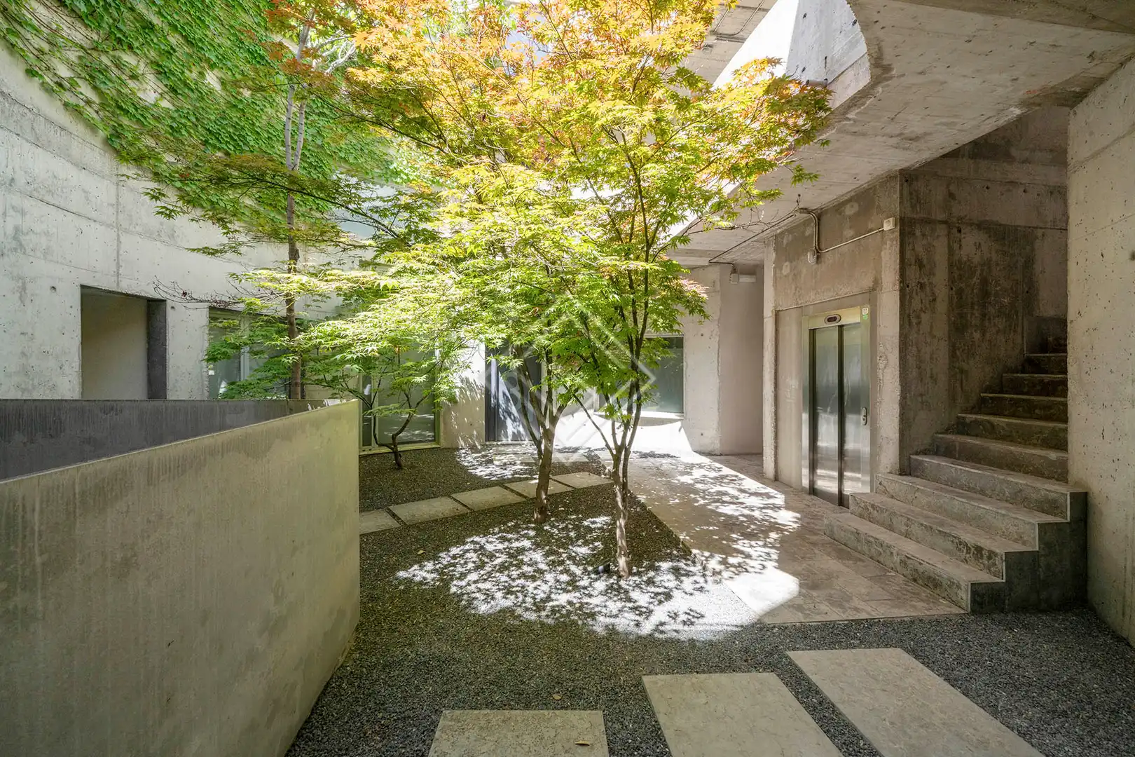 Terrassa de Dúplex de lloguer en Madrid amb Jardí privat, Terrassa i Piscina