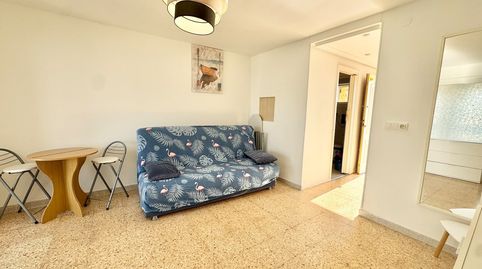 iexclALQUILER DISPONIBLE DE OCTUBRE A MAYO EN BENIDORM!Descubre este praacutectico estudio de 30 msup2 en Benidorm, una vivienda f, imatge 4
