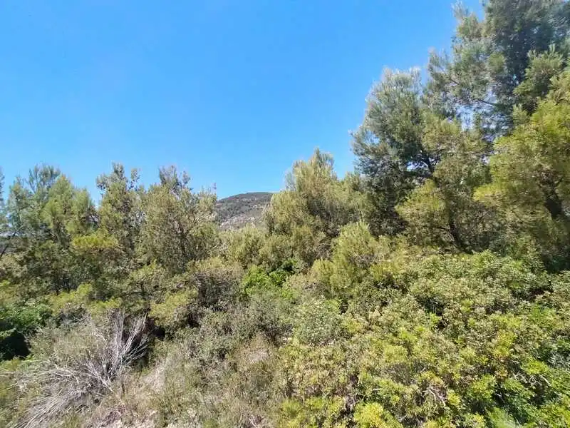 Residential land for sale in EL PINAR, imagen 5