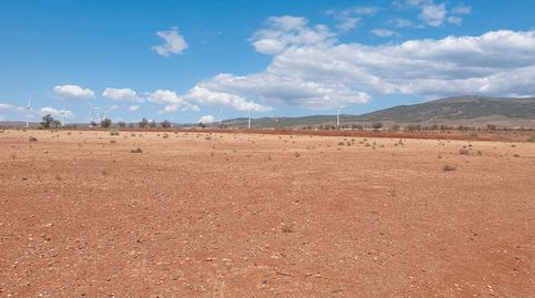 VENTA DE 3 HECTAREAS TIERRA DE CULTIVO EN ABRUCENA. ALMERIA, immagine 3