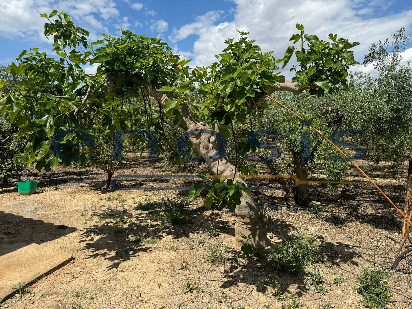 Finca rústica en venda en Torre-Pacheco amb Aire condicionat