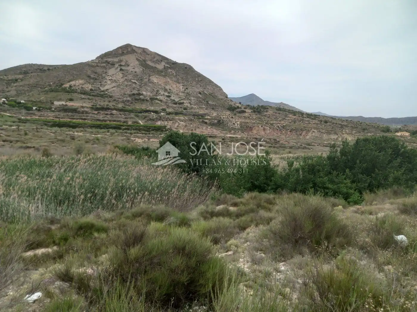 Rural land for sale in Novelda, imagen 13