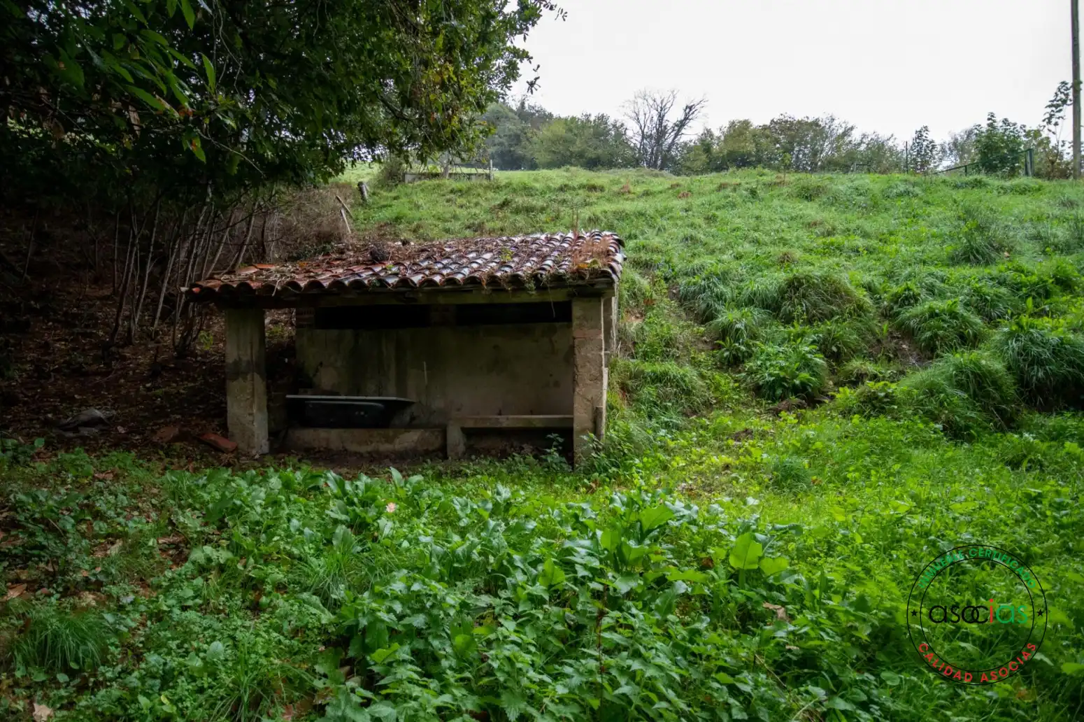 Jardí de Casa o xalet en venda en Cabranes amb Calefacció, Jardí privat i Parquet