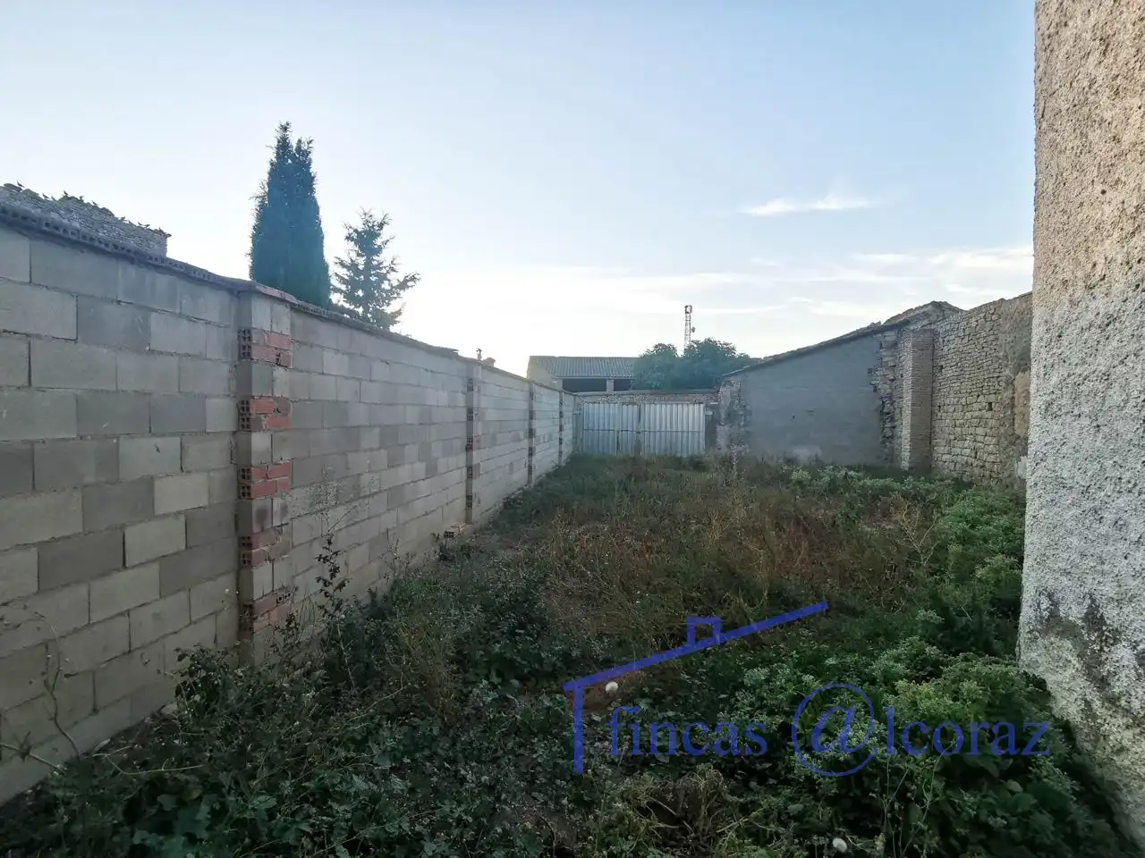 Casa o xalet en venda en Tardienta amb Jardí privat