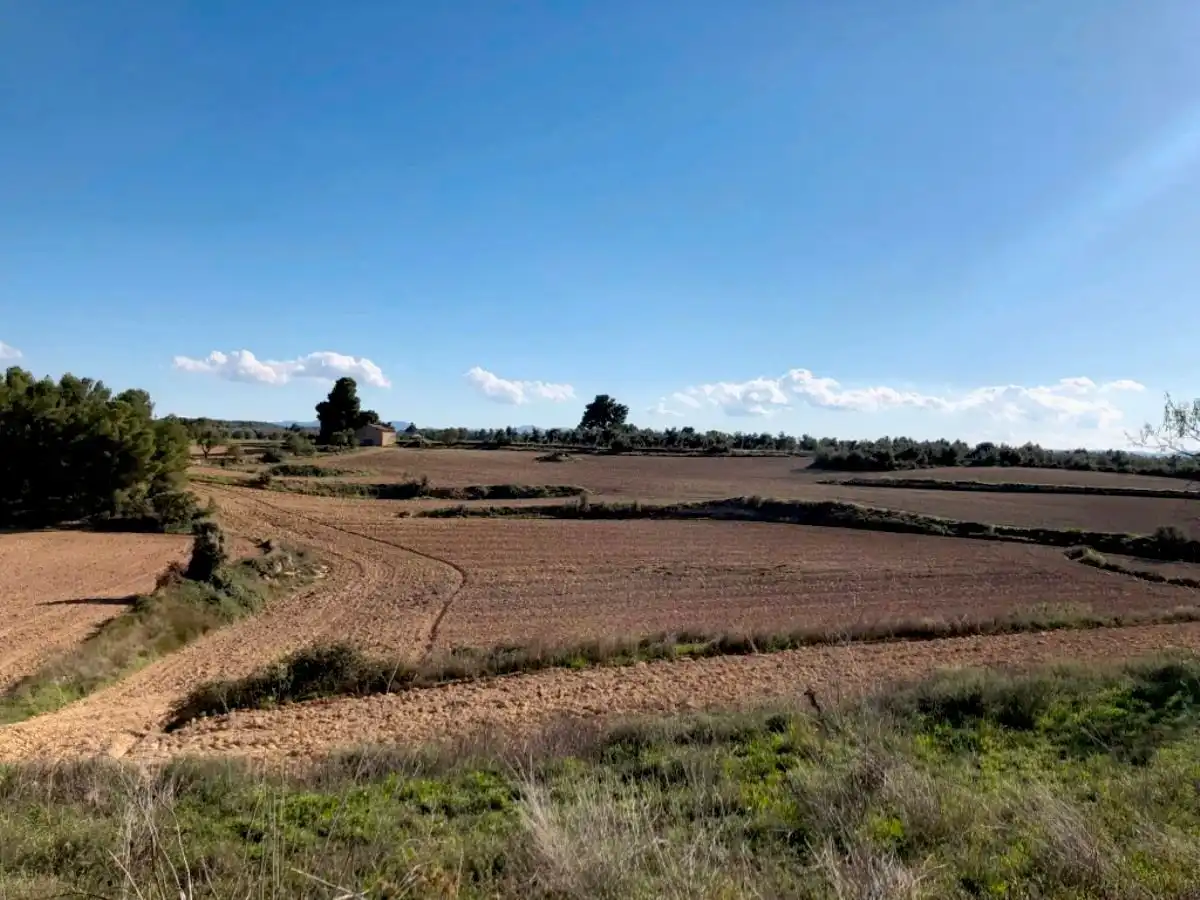 Casa rústica en venda a Torre del Compte, imagen 13