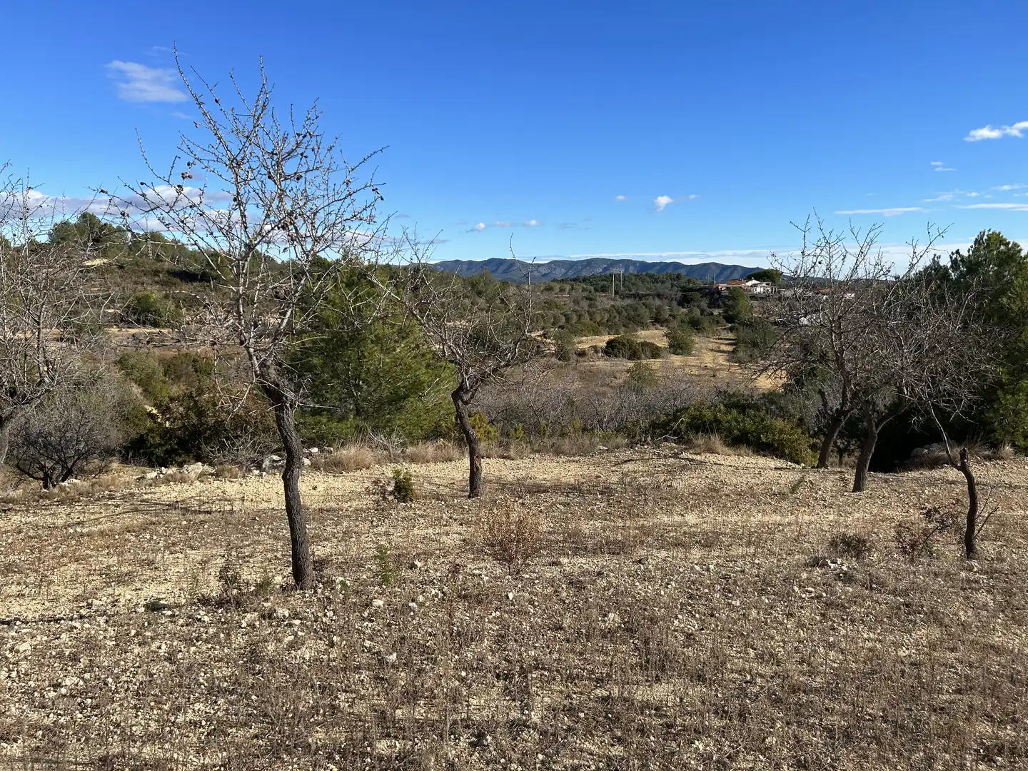 Rural land for sale in Les Coves de Vinromà, imagen 2