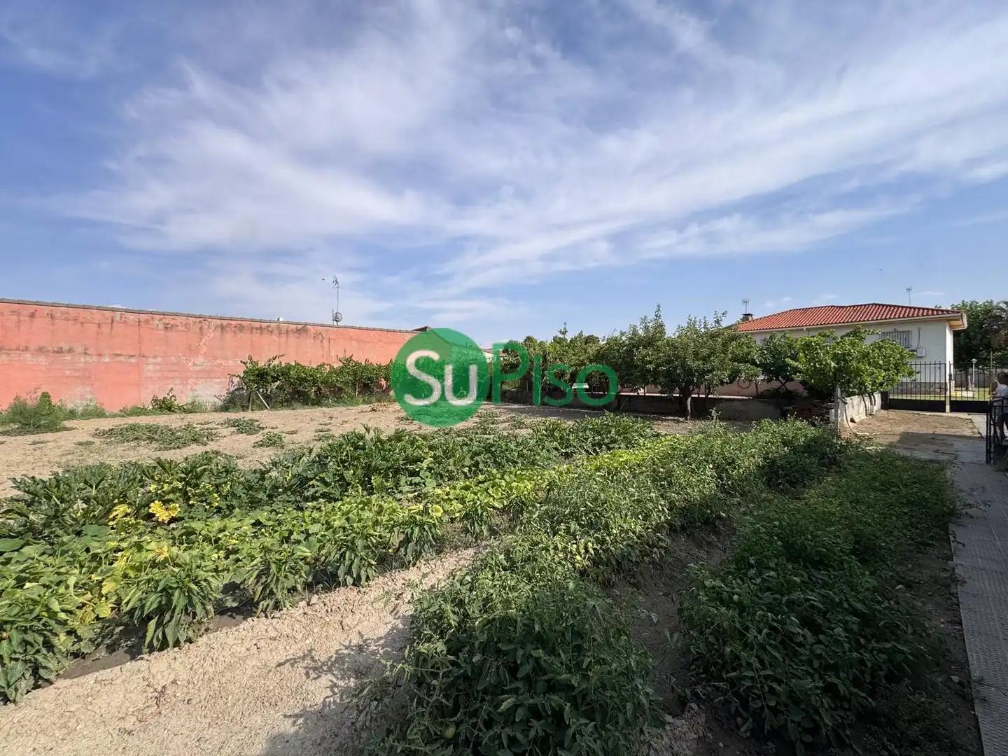Detached house with pool for sale in Calle Del Clavel 2, imagen 11