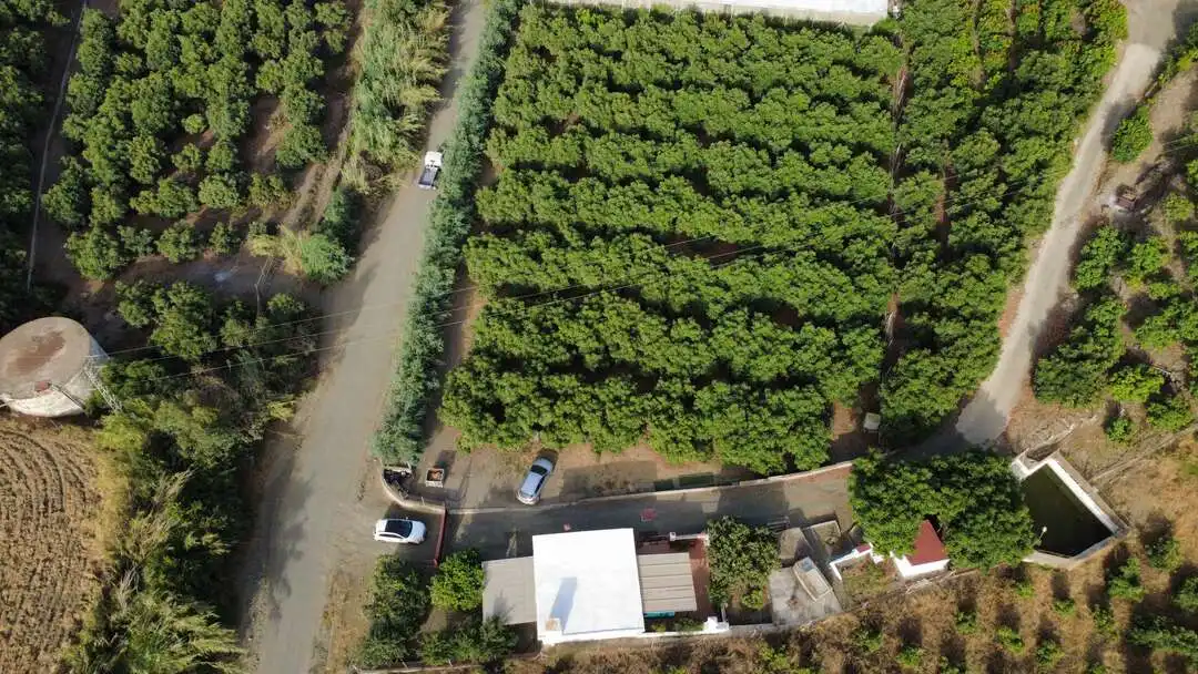Casa o xalet en venda en Benamocarra amb Jardí privat i Moblat
